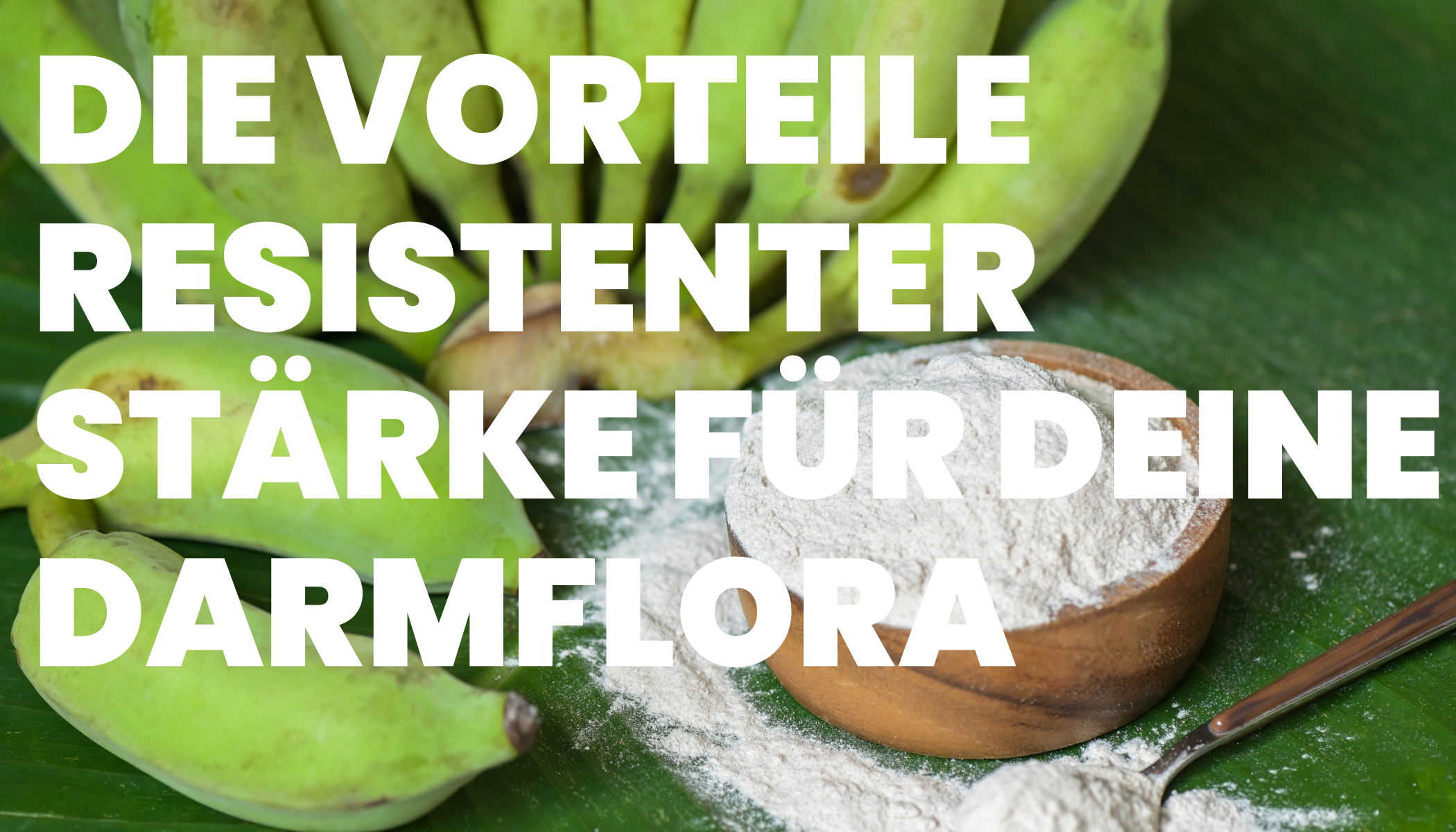 Die Vorteile resistenter Stärke für deine Darmflora