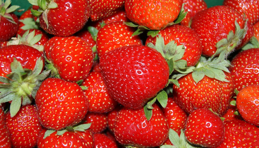 Erdbeere - Die rote Superfrucht