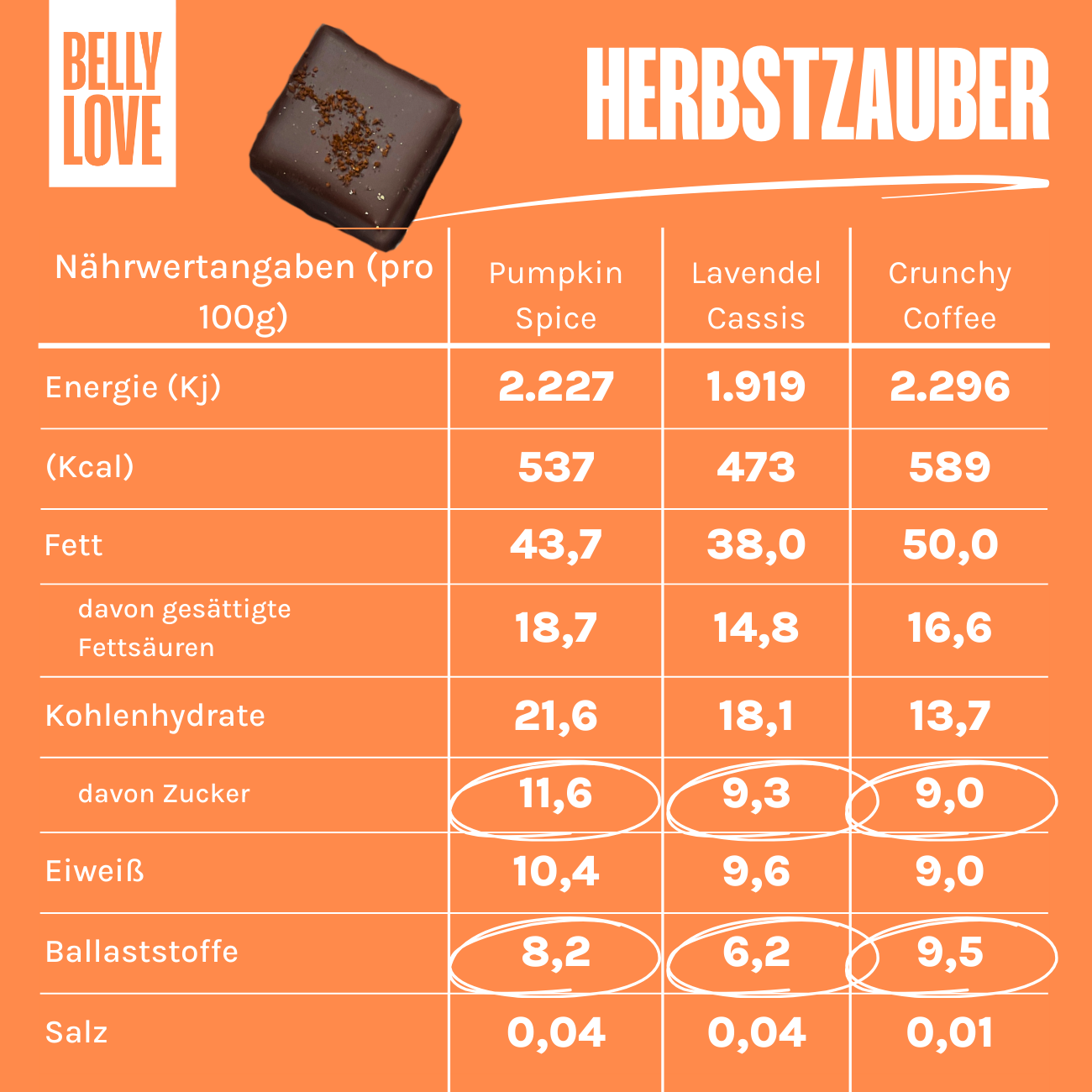 Herbstzauber 9er-Selektion Pral*nés (bio)